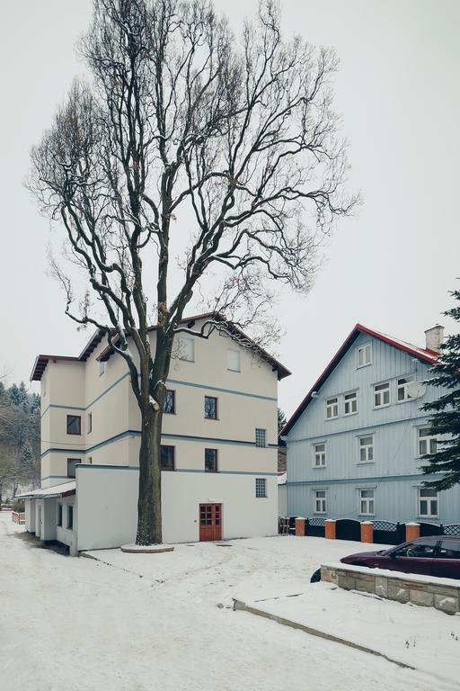 Pensjonat Limba Душники-Здруй Экстерьер фото